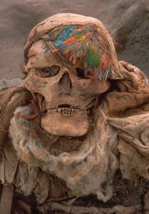 A recently unearthed skeleton wearing a feather headdress by Ira Block