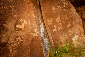 In Nine Mile Canyon, panels of sheep near the Sandhill Crane petroglyph site, 2005