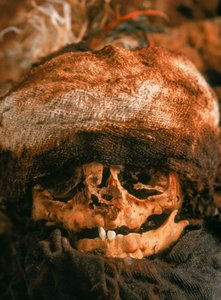 The skull of a baby that was bundled and buried