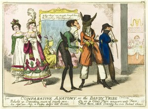 Comparative Anatomy by Isaac Robert Cruikshank