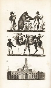 Dancing Bear and Dog, Camel and Monkey and the Royal Exchange