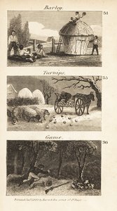 Trades in Norfolk, Regency England by Isaac Taylor