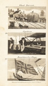 Trades in Regency England: wheat harvest, oysters and buntine for flags