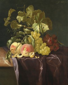 Still Life of Fruit, Nuts and Leaves on Velvet Cloth