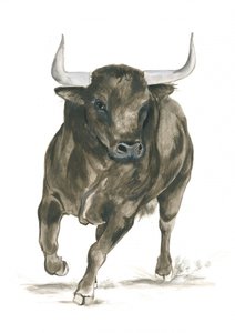 Charging Bull Power