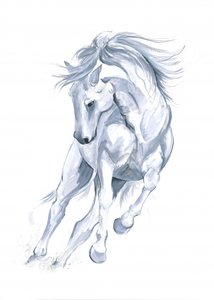Horse Running Abstract