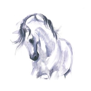 Horse in Movement Study