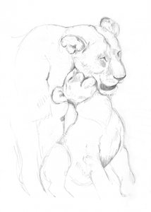Lioness and Cub