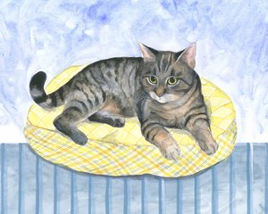 Pillow Cat