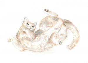 Playful Cat