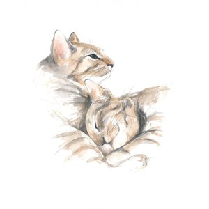 Relaxed Cats
