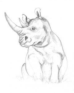 Rhinoceros