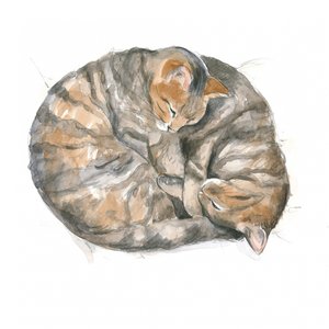 Round Cats