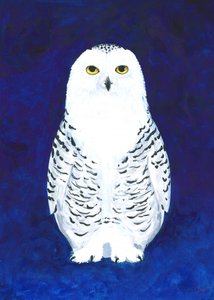 Solemn Snowy Owl