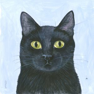 The Cat