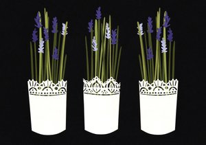 Lavender pots, 2014