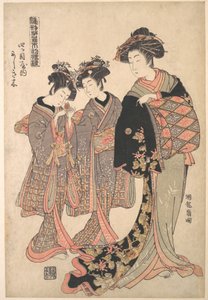 The Courtesan Nishikigi of the Yotsumeya Brothel, from the series “A Pattern Book of the Year’s First Designs, Fresh as Spring Herbs” by Isoda Koryusai