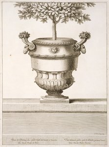 Bronze urns as used for citrus trees, illustration from 