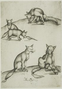 The Five Foxes by Israhel van Meckenem the younger
