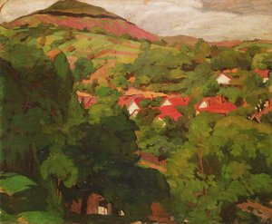 Landscape at Nagybanya, Hungary