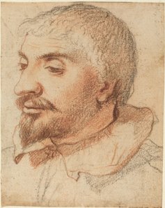 Head of a Man