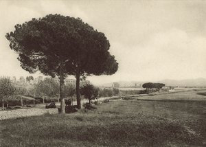 Aqueduct of Claudius on the new Appian Way by Italian Photographer