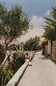 Capri: Via Tragara by Italian Photographer