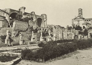 Roman Forum, Basilica of Constantine, Temple of Romulus and House of the Vestal Virgins by Italian Photographer