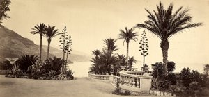 The garden of the Casino of Montecarlo, in the Principality of Monaco