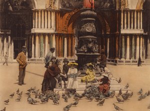 Venice: Pigeons by Italian Photographer