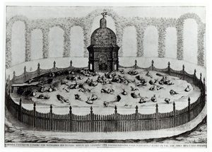 A Rabbitry with an Aviary for small birds, from Le Fabbriche e i Giardini dellEcc. Casa Barbariga, by D. Rossetti, engraved by G. Campana, published 1702 by Italian School