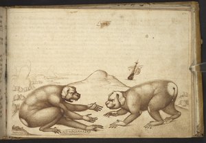 Dog-like Creatures Fighting (