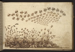 Add. 82955, f.64 Bees (