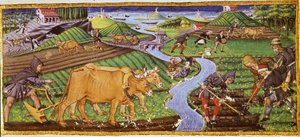 Agriculture at the Beginning of the 15th Century. Biblioteca Ricciardiana, Florence