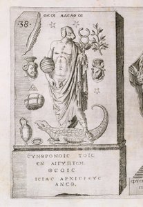 Apollo with a dog