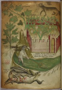 Botanical and animal illustration of plants, a walled garden, a wolf, a man fishing, and a vulture pecking a carcass by Italian School