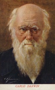 Charles Darwin, English Naturalist by Italian School