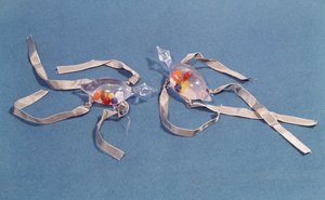 Copy of two medical thermometers from the Museo di Storia della Scienza in Florence