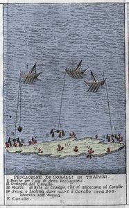 Coral fishing in the Gulf of Trapani in Sicily, a representation of small underwater islands where coral barrels are formed. Engraving from 