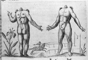 Different types of human monsters: a man without a head. Engraving from 