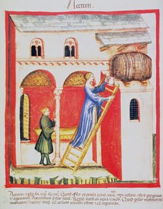 Vinegar (illustration from Tacuinum Sanitatis Codex Vindobonensis) by Italian School