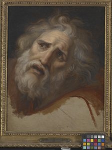 Head Of Laocoon