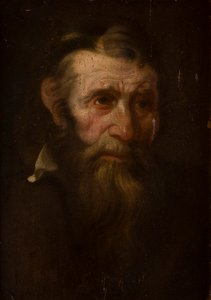 Head Sketch of a Man by Italian School