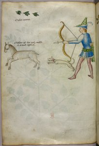Illustration of a man with a bow shooting at an animal, with a dog, and birds above, c.1440