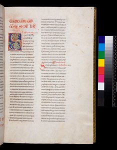 Ms 143. Gregory the Great, Registrum Epistolarum, f.8r. Decorated Initial [S] with White Vine-Leaf Infill and Finials by Italian School