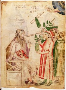 Men presenting plants to an unknown man, from De Herbis by Manfredus de Monte Imperiali by Italian School