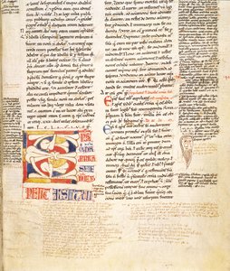 Ms. McClean 135, f.96r: Plant-Form Historiated Initial C from Gratians Decretum (detail) by Italian School