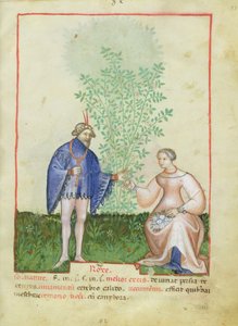 Roses, from Tacuinum Sanitatis by Italian School