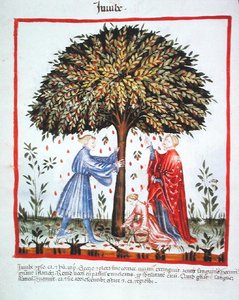 Gathering Jujubes, from Tacuinum Sanitatis Codex Vindobonensis