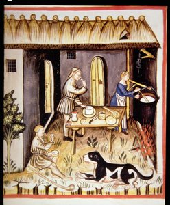Preparation of white cheese, from Tacuinum Sanitatis